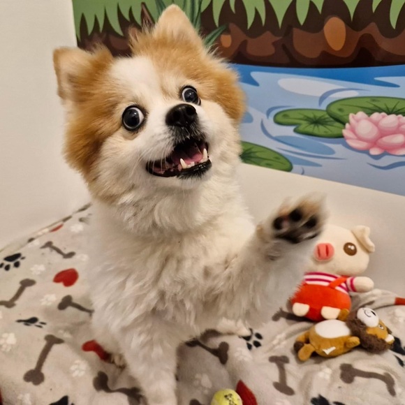 Meet your Posher, Lisa.  Hi everyone!! I hope u like my closet!! - Picture 15 of 16